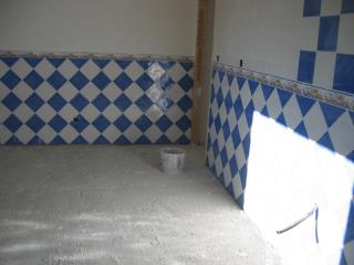 Img. Alicatado.JPG